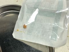 -宠爱国际动物医院·消化内科·心肾内科·ISFM猫友好(望京店)