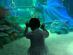 -沈阳海洋探索中心