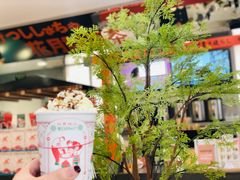 -伏小桃(明瓦廊店)