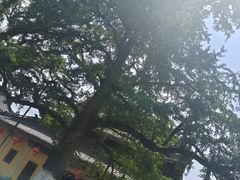 -溪口-滕头旅游景区
