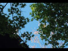 -杭州植物园