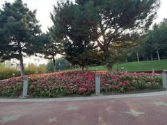 -莫子山公园