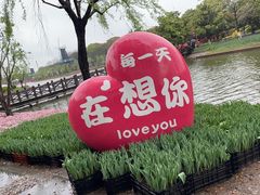 -上海鲜花港