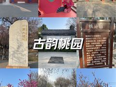 -桃花堤公园
