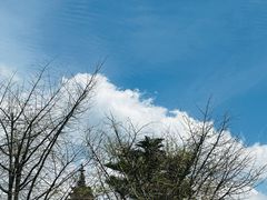 -崇圣寺三塔文化旅游区