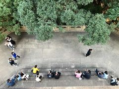 -灵谷景区
