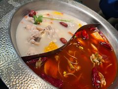 -麻田会 ·鲜活现烹·牛蛙火锅(珠江新城维家思广场店)