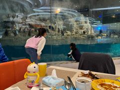 -帝企鹅自助餐厅•儿童岛•真企鹅(长隆企鹅酒店)