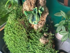 -德胜小馆(德胜门店)