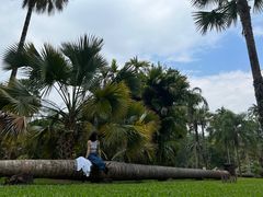 -中国科学院西双版纳热带植物园