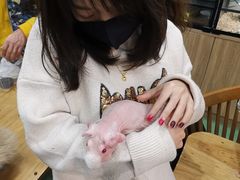 -藦茜花园宠物主题亲子互动体验馆(国顺东路店)