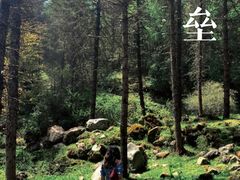 -硗碛藏寨·神木垒景区