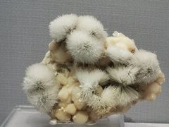 -湖南省地质博物馆