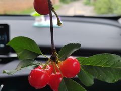 -兰湘子·湘菜小炒(盛龙广场店)