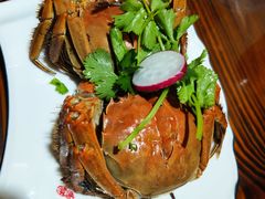 -呼吸森林·生态农庄农家乐私房菜