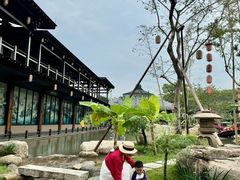 -仙湖旅游度假区