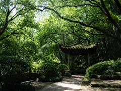 -杭州花家山庄