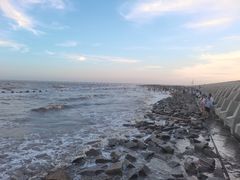 -南汇嘴观海公园