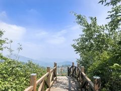 -大岭沟猕猴桃谷风景区