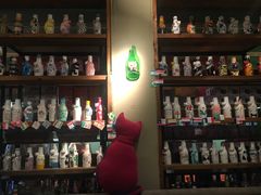 -猫咪博物馆(顶澳仔猫街店)