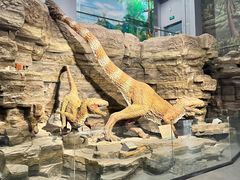 -辽宁古生物博物馆