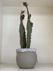 -THE LOG SALON 记录