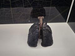 -生命奥秘博物馆