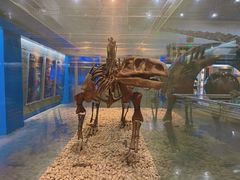 -国家自然博物馆