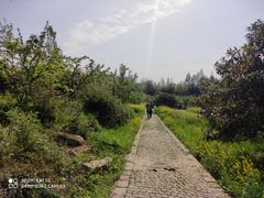 -苏州上方山国家森林公园
