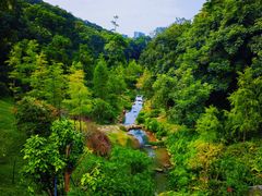 -云溪植物园