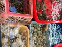 -坛南湾阿强农家乐.海鲜大排档老字号(福州地标美食店)
