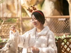 -杭州开元森泊度假乐园