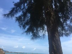 -亚龙湾海底世界