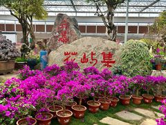 -沂蒙云瀑洞天景区