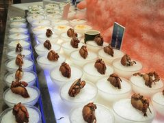 -丰卓会海鲜自助(中润大道店)