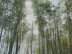 -良渚古城遗址公园
