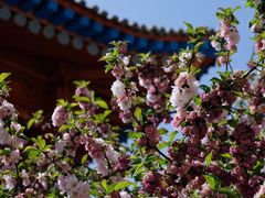 -清真益鑫羊肉手抓馆(南大街店)