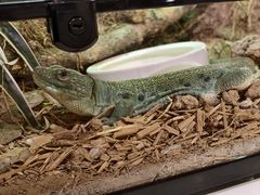 -上海昆虫博物馆