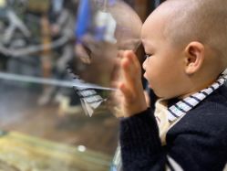 -Zoolung Zoolung动物主题公园(海信广场店)