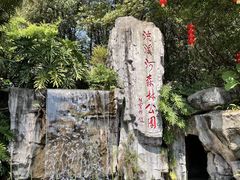 -广州市流溪河国家森林公园