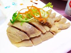 -复旦大学本部-食堂