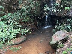 -滴水岩森林公园