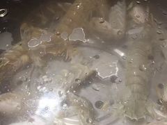 -马路边上·小海鲜烧烤(八一路店)
