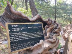 -山叶口景区