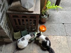 -老屋咖啡