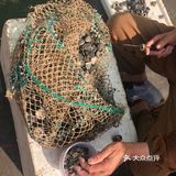 LL爱家乡美食