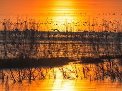 -野鸭湖国家湿地公园