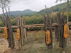 -欧匠葫炉鱼(钱江世纪城店)