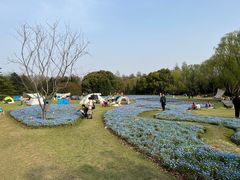 -上海滨江森林公园