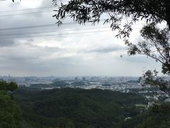 -滴水岩森林公园